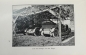 Preview: Freeston "Die Hochstrassen der Pyrenaen" Travelstory 1913 (7075)